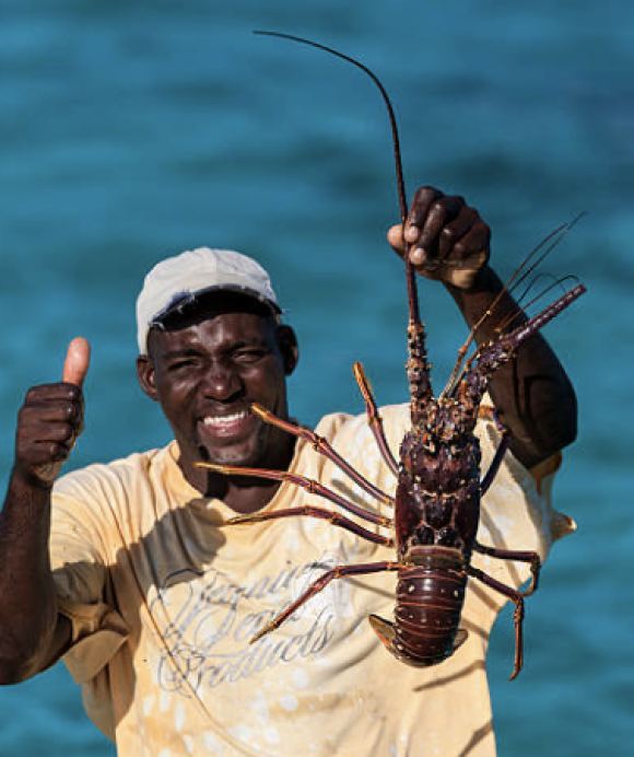 Fishing trips