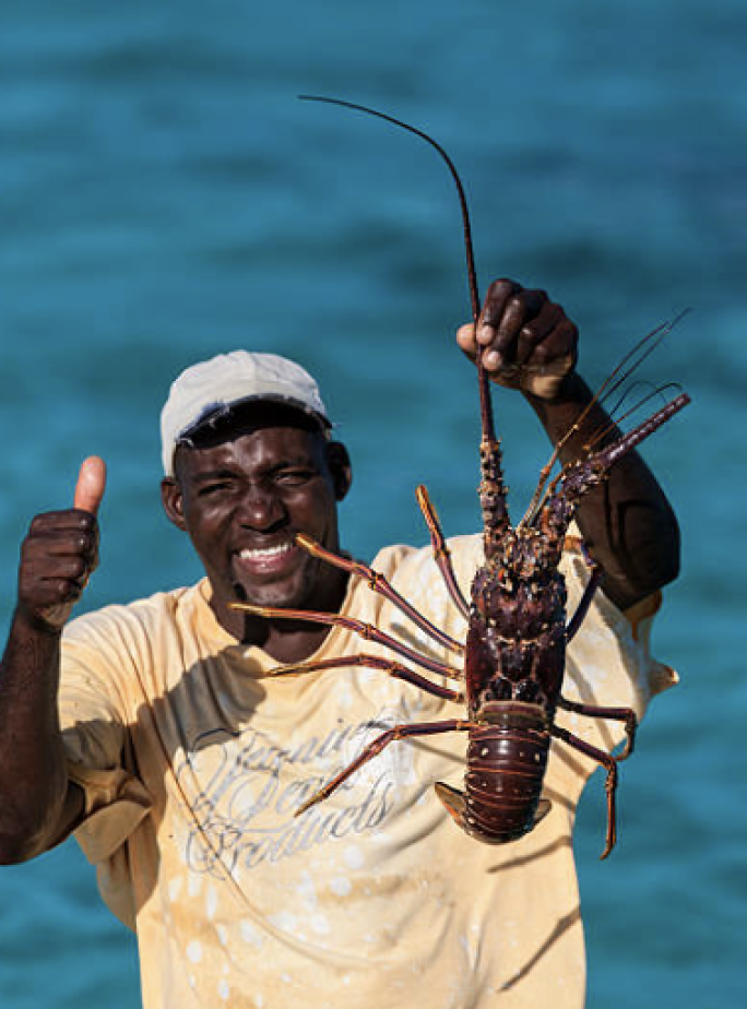 Fishing trips
