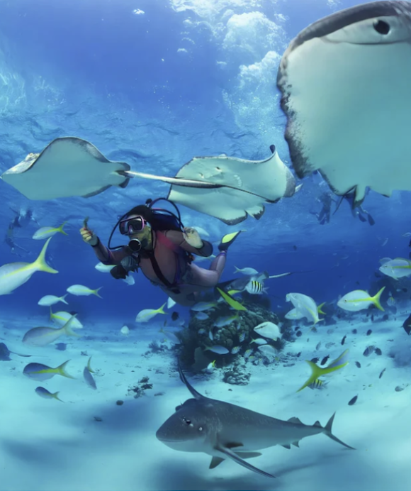Scuba Diving