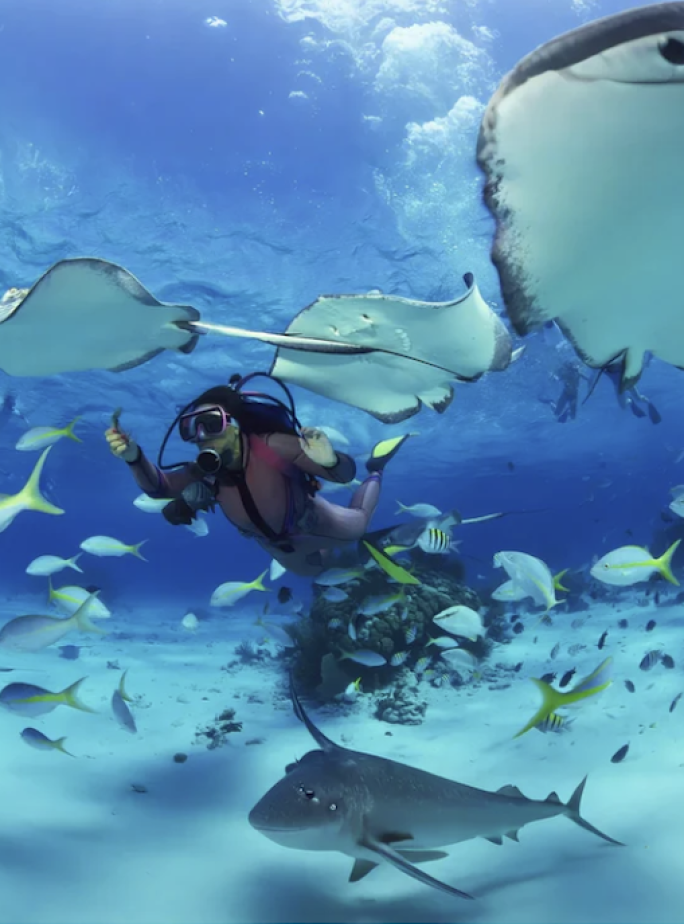Scuba Diving